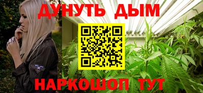 шишки Изобильный