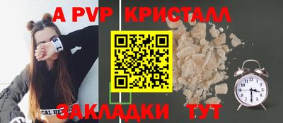 шишки Изобильный