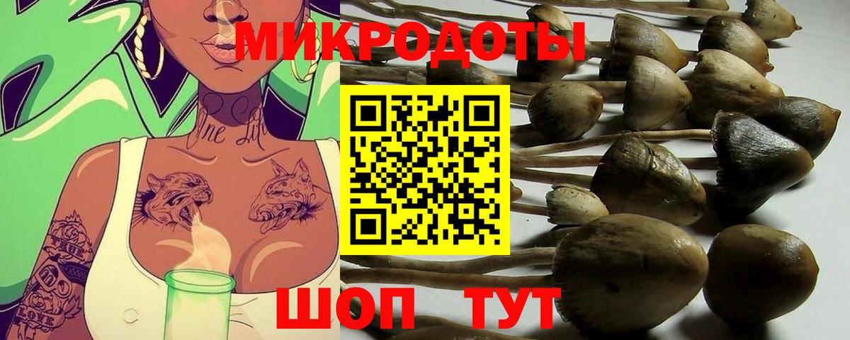 Псилоцибиновые грибы Psilocybine cubensis  Псилоцибиновые грибы Psilocybine cubensis  купить наркотики цена  Мариинск  Вход с VPN 